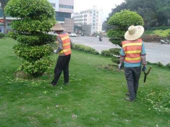 園林綠化施工、養(yǎng)護(hù),草皮銷(xiāo)售及種植,園區(qū)、市政等改造工程