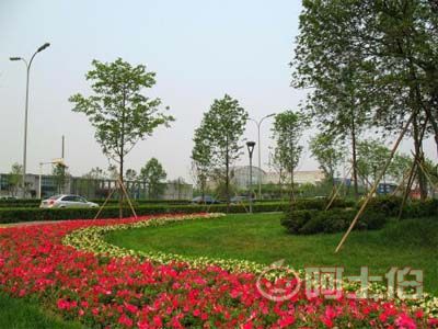 園林綠化工程施工及驗收規范