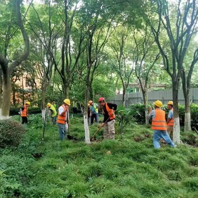 這座公園圍墻即將打開,實現與綠色空間的無界交流