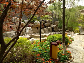 別墅造景 錦州正規的別墅造景 大連群益