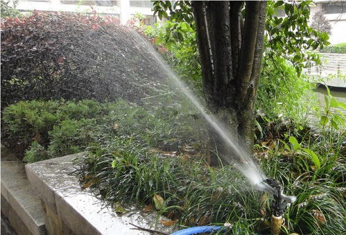 昆明考綠化工證及體育場地設施工程施工指南 難度、費用與準入解析