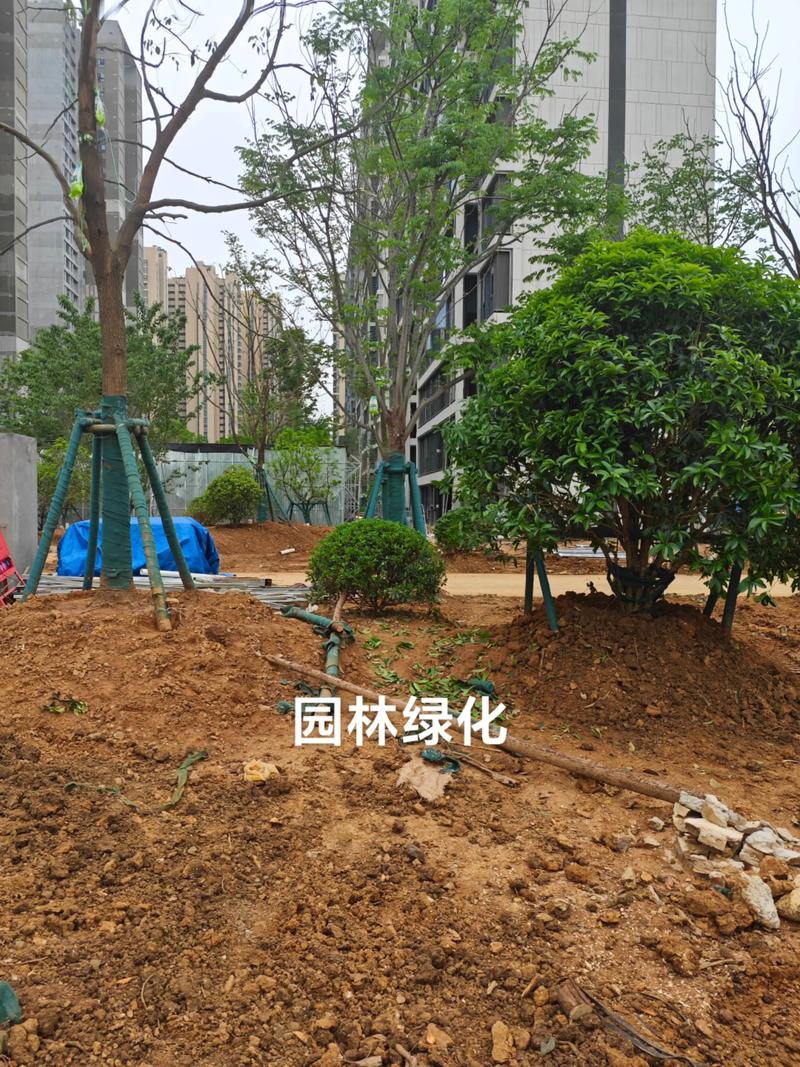 光谷中央公園體育場(chǎng)地設(shè)施工程建設(shè)提速，綠色生態(tài)與全民健身協(xié)同發(fā)展