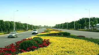 綠動(dòng)磁州，健行未來(lái) 八項(xiàng)重點(diǎn)工程繪就園林縣城新畫卷